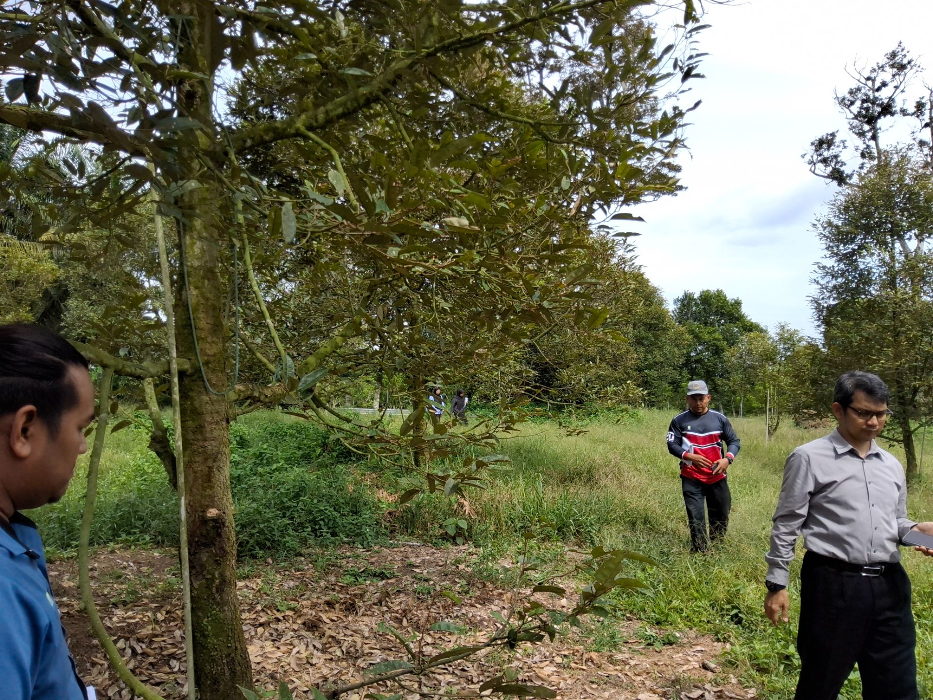 Rumah Semi Detached Single Storey