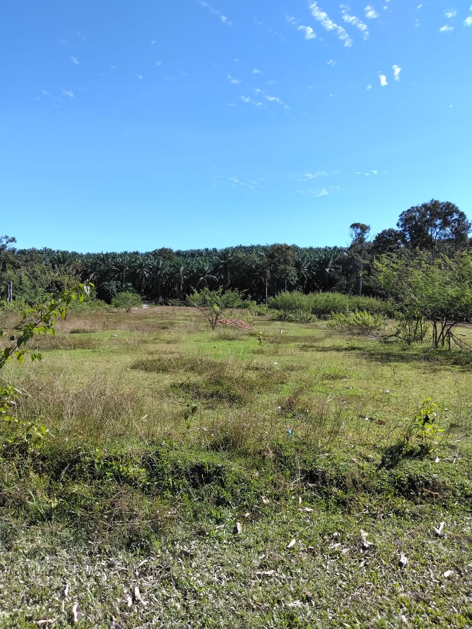 LAND FOR SALE @ Kampung Sera, Kulim