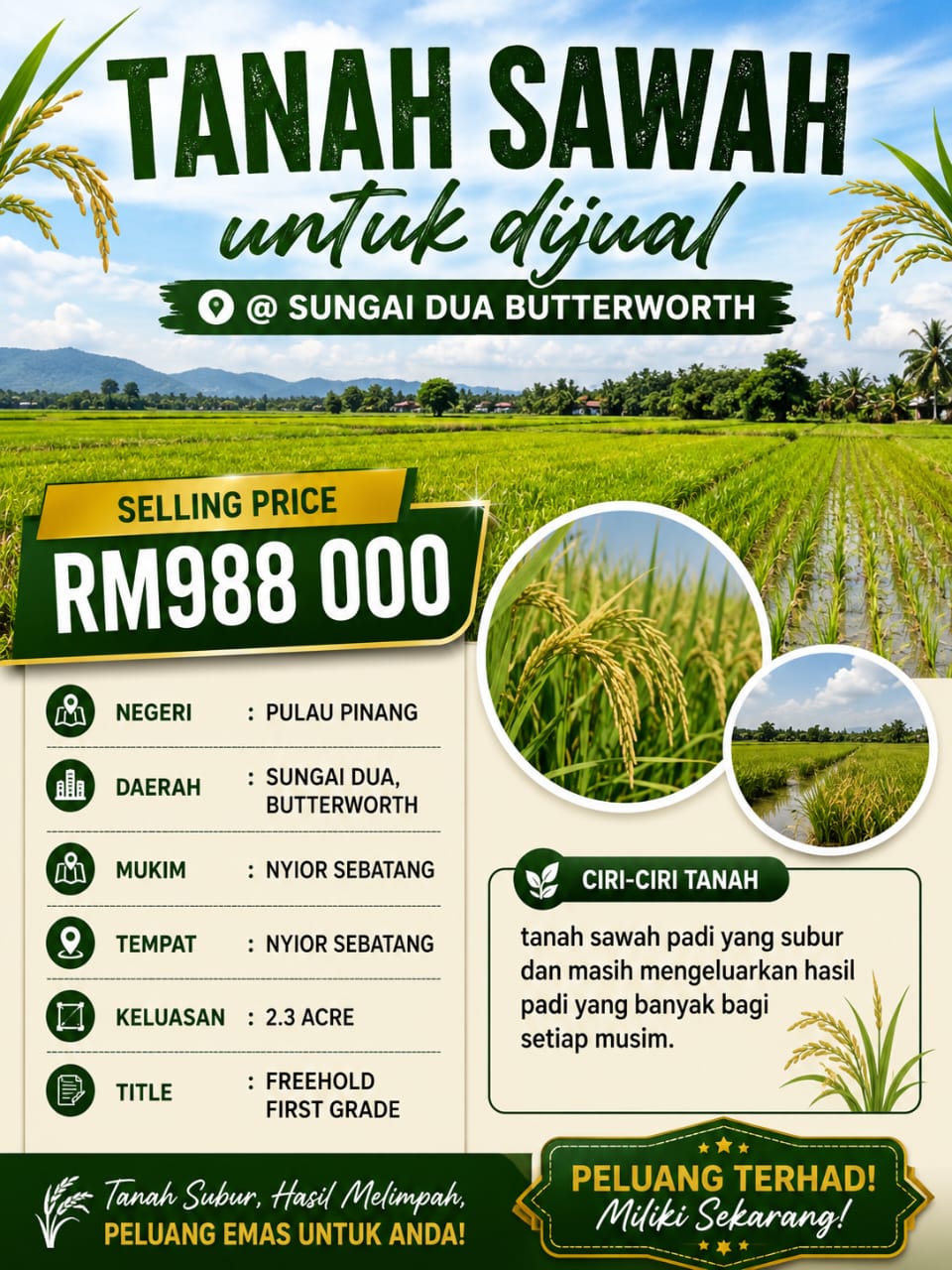 FIRST GRADE PADDY FIELD @ Butterworth
