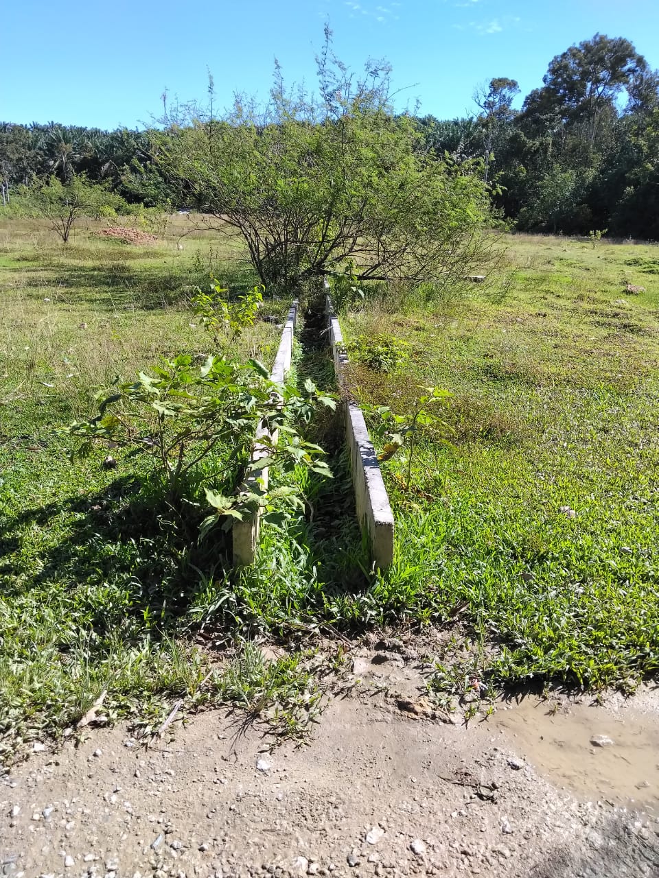 AGRICULTURE LAND FOR SALE @ Sera
