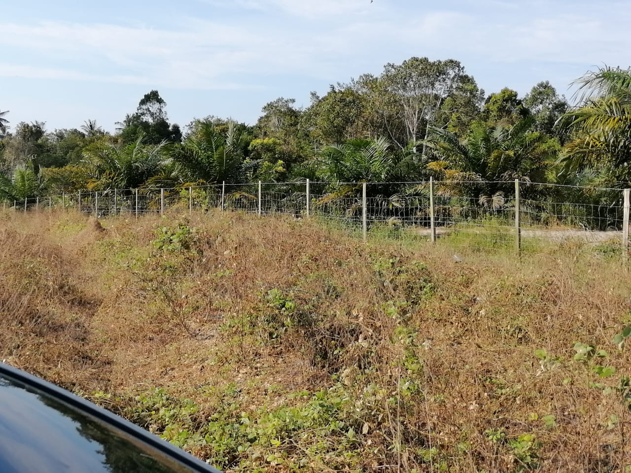 Agricultural Land For Sale Kg Triang, Endau Mersing